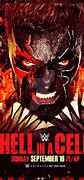 Image result for WWE Hell in a Cell