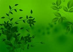 Image result for Window Green Screen Background