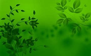 Image result for All Green Background