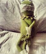 Image result for Bad Kermit the Frog
