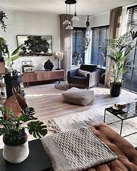 Image result for Living Room Decor with Plants