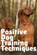 Image result for Positive Dog Training