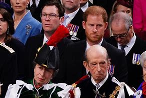 Image result for Princess Anne Feather