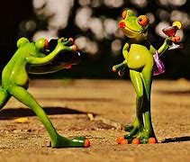 Image result for Funny Poison Dart Frog