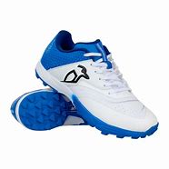 Image result for Cricket Shoes