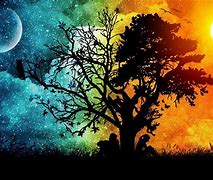 Image result for Day and Night Wallpaper