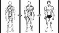 Image result for Humanoid Drawing