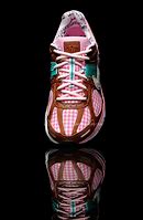 Image result for Doernbecher Dunk