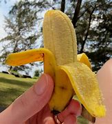 Image result for Small Banana