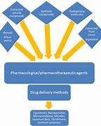 Image result for Drug Formulation