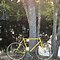 Image result for Missile Atlas Yellow Road Bike