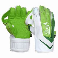Image result for Cricket Kipper Gloves