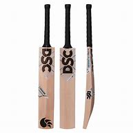 Image result for DSC Cricket Bats