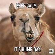 Image result for Hump Day Meme Mug