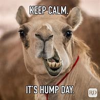 Image result for Hump Day Pun Memes