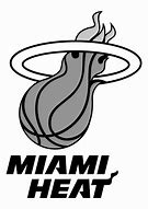 Image result for Miami Heat's Pillow
