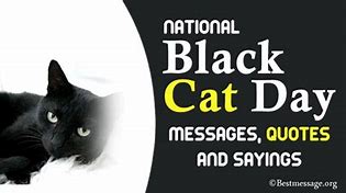 Image result for Black Cat Day Meme
