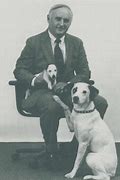 Image result for RCA Puppy