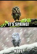 Image result for Spring Has Sprung Meme