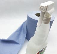 Image result for Spray Paper Towels to Check for Cats Fleas