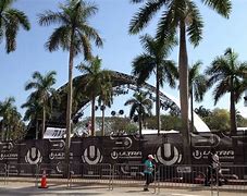 Image result for Ultra Music Festival Miami FL