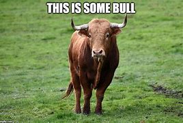 Image result for Bull Meme Badge