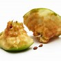 Image result for Rotten Apple Core Silhouette