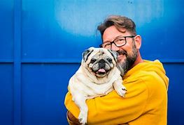 Image result for Man with Pugs