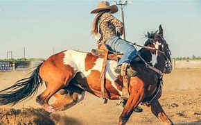 Image result for 3840X2160 Wallpaper Rodeo