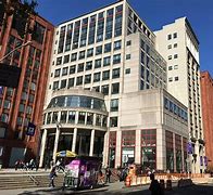 Image result for New York University College