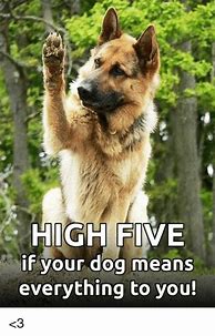 Image result for Dog High Five Meme Shirt