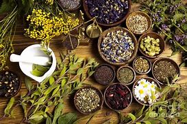 Image result for Ayurvedic Herbs List