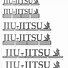 Image result for Jiu Jitsu Medals