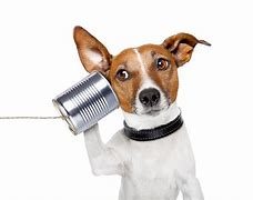 Image result for Puppy On Phone Free Photograph