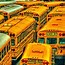 Image result for school bus