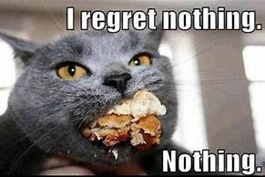 Image result for Thanksgiving Memes Funny Cat