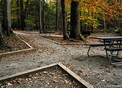 Image result for Picnic Grounds in United States
