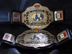 Image result for Pro Wrestling Belts