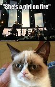 Image result for Music Cat Meme