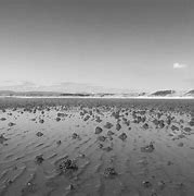 Image result for Black and White Photography with iPhone
