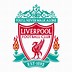 Image result for Liverpool FC New Kit