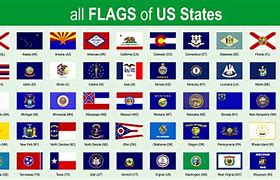 Image result for 50 US State Flags