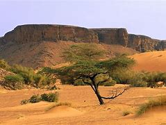 Image result for Mauritania