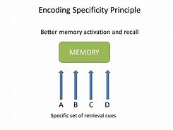 Image result for Encoding Memory หนงสอ