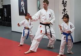 Image result for Types of Martial Arts School