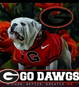 Image result for Go Dawgs