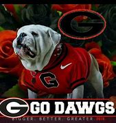 Image result for UGA Images Go Dawgs