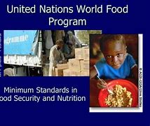 Image result for World Food Programme Slide Template