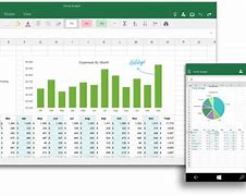 Image result for Microsoft Office Screen Shot