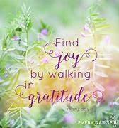 Image result for Joy and Gratitude